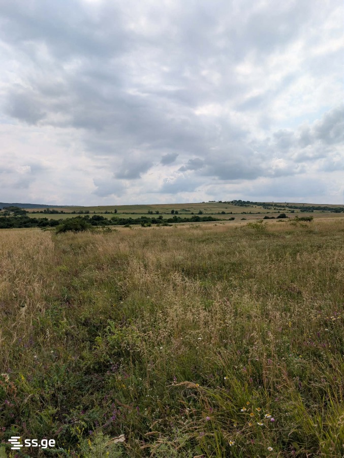 Land For Sale. Norio view 1