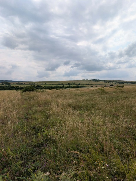 https://static.ss.ge/20261014/4_9302c21d-db0c-46b0-b45e-8459904ca110_Thumb.jpg
