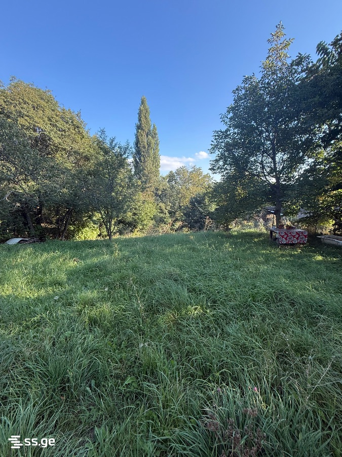 Land For Sale. Kojori view 3