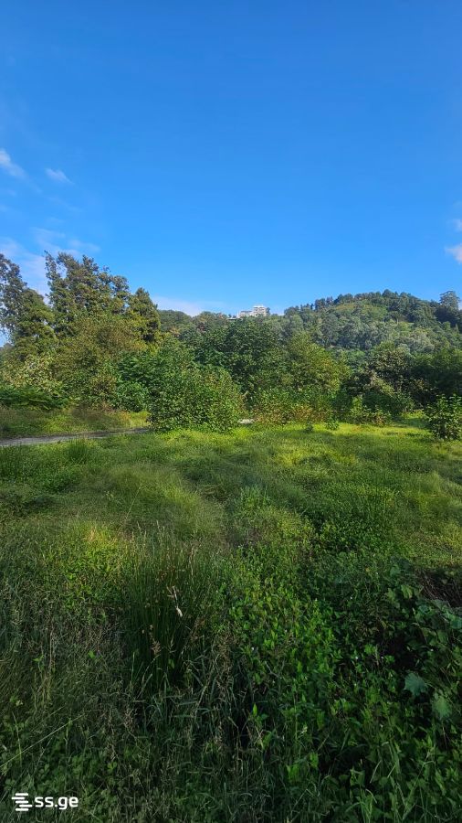 Land For Sale. Gonio view 4