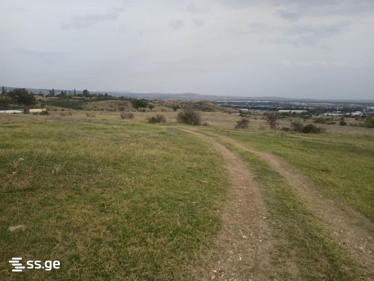 Land For Sale. Nasaguri view 3