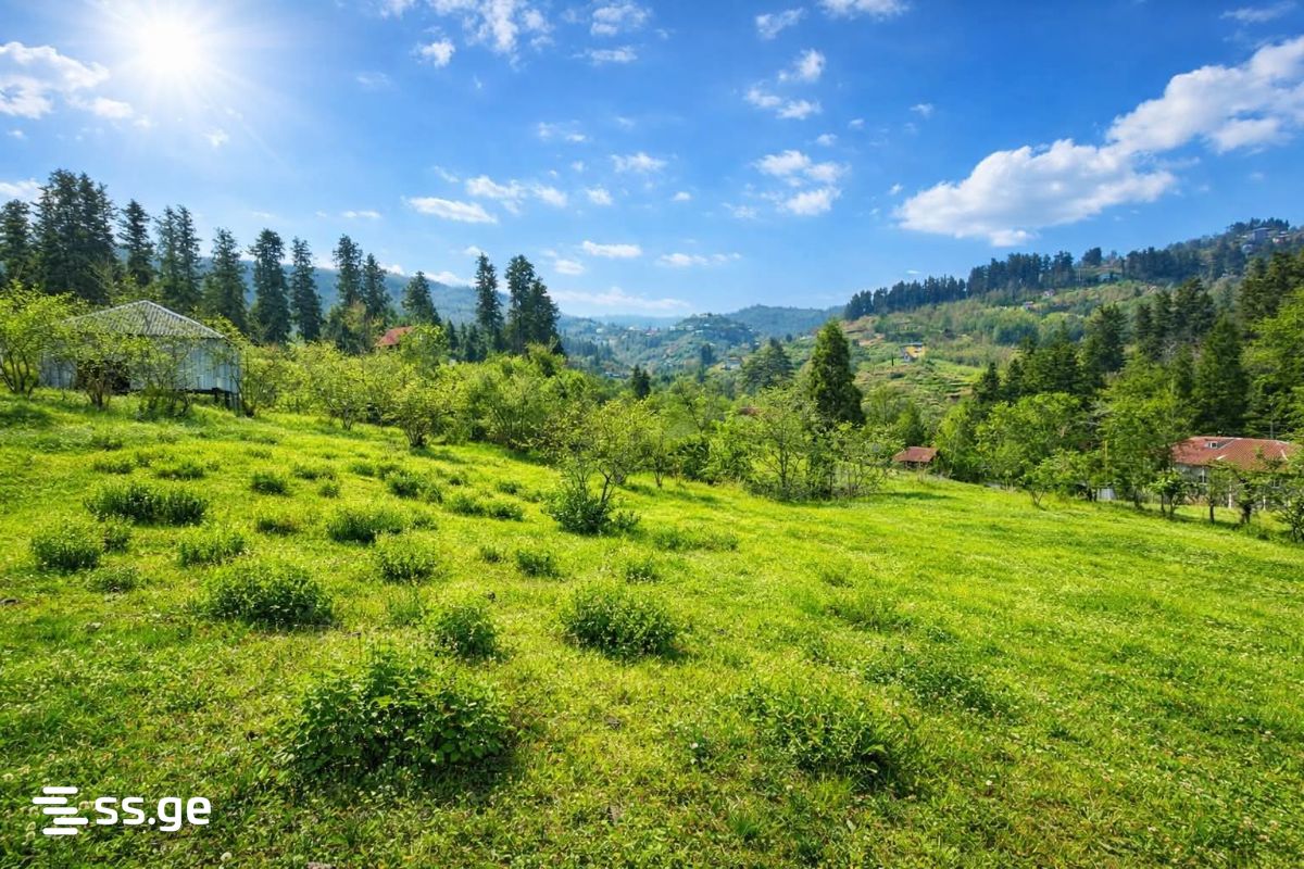 Land For Sale. Chaqvi view 1