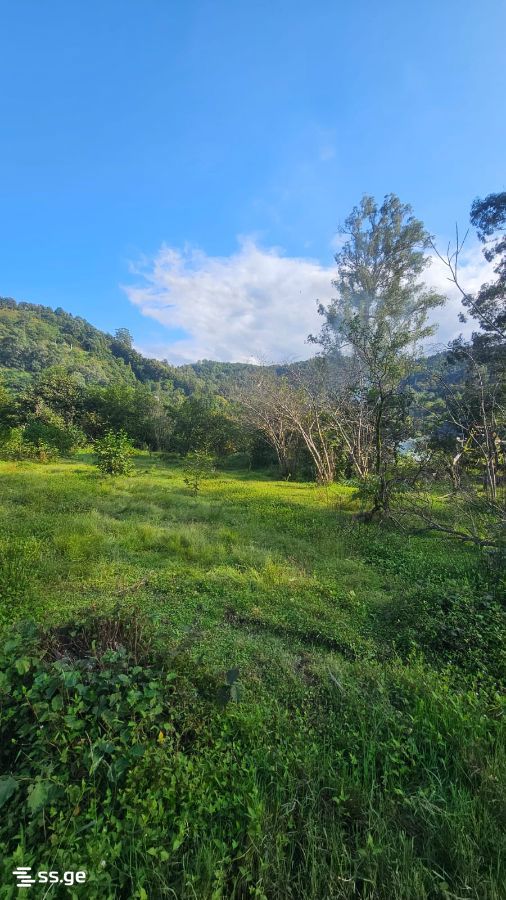 Land For Sale. Gonio view 5