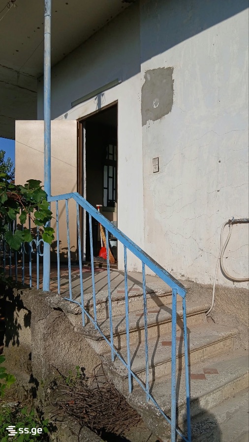 3 Room Private House For Rent. Telavi view 4