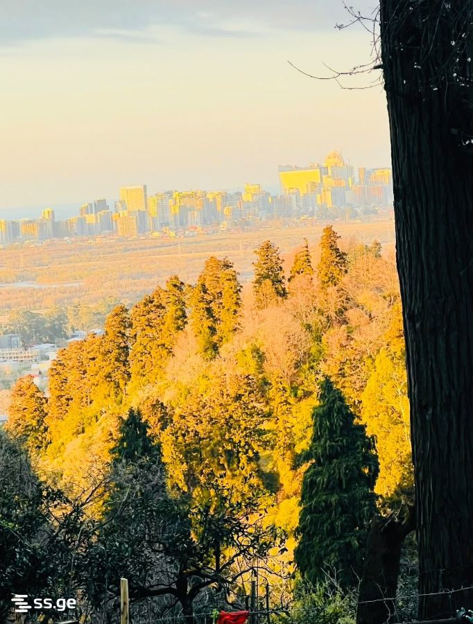 Продажа Земля в Гонио view 1