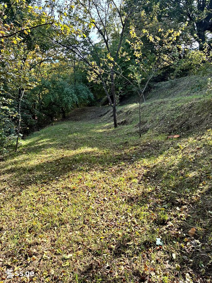 Land For Sale. Tskneti view 5