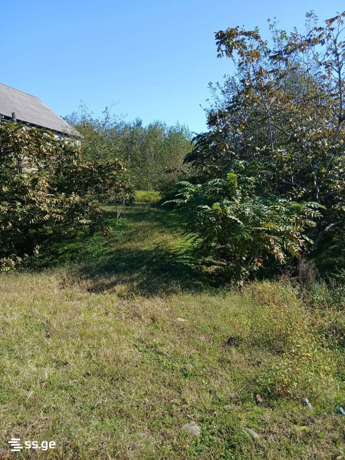 Land For Sale. Ureki view 3