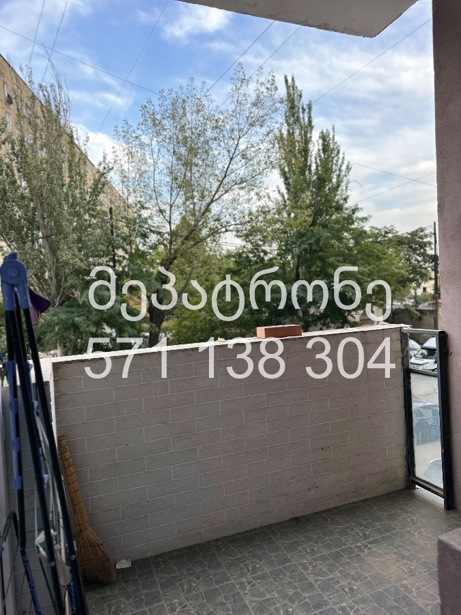 https://static.ss.ge/20261015/10_59fd6762-0377-450e-a1ec-5b6818bc3016_Thumb.jpg