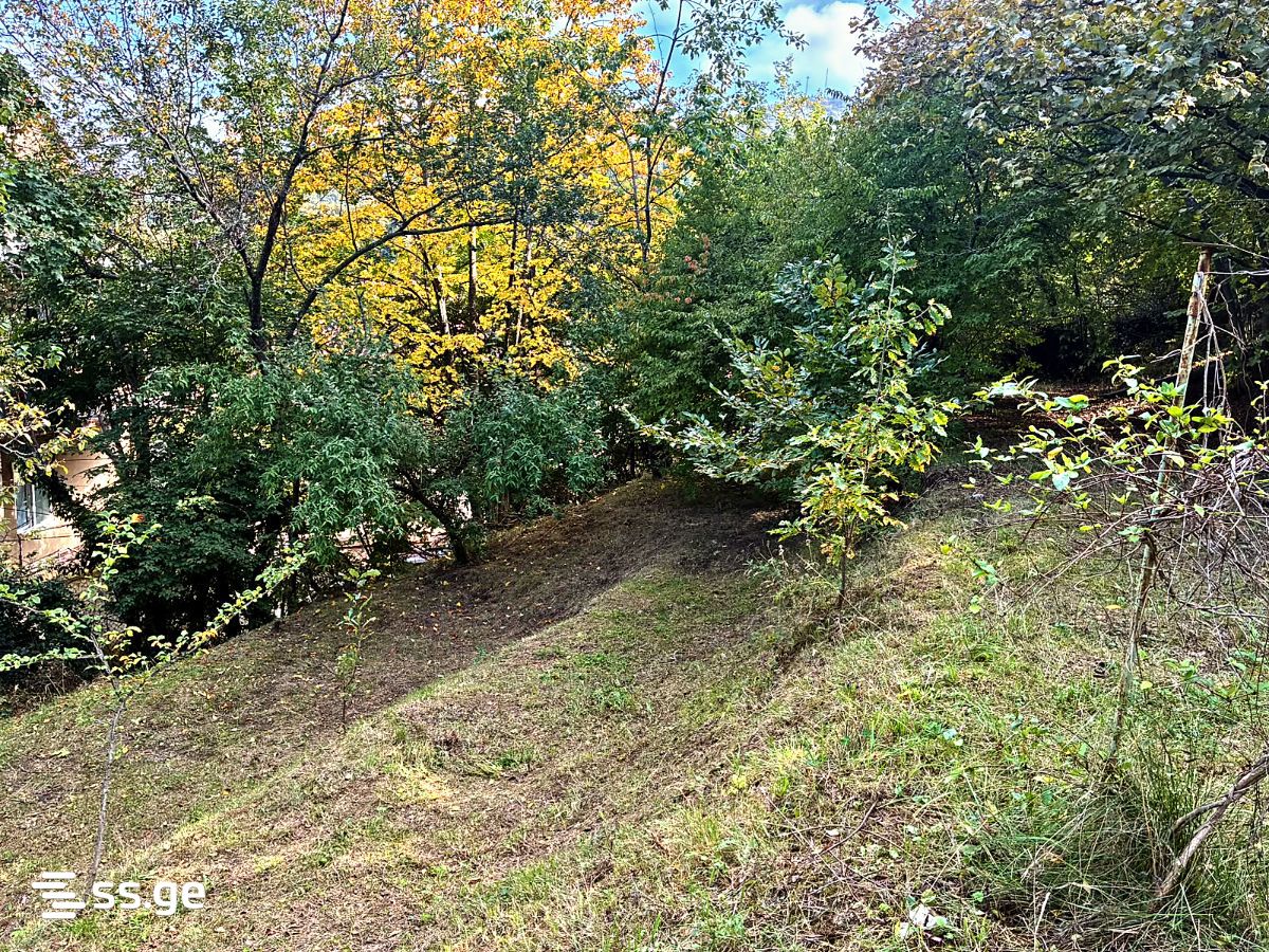 Land For Sale. Tskneti view 6