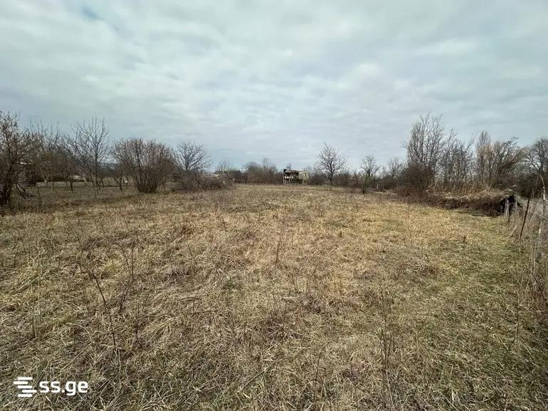 Land For Sale. Mukhrani view 3
