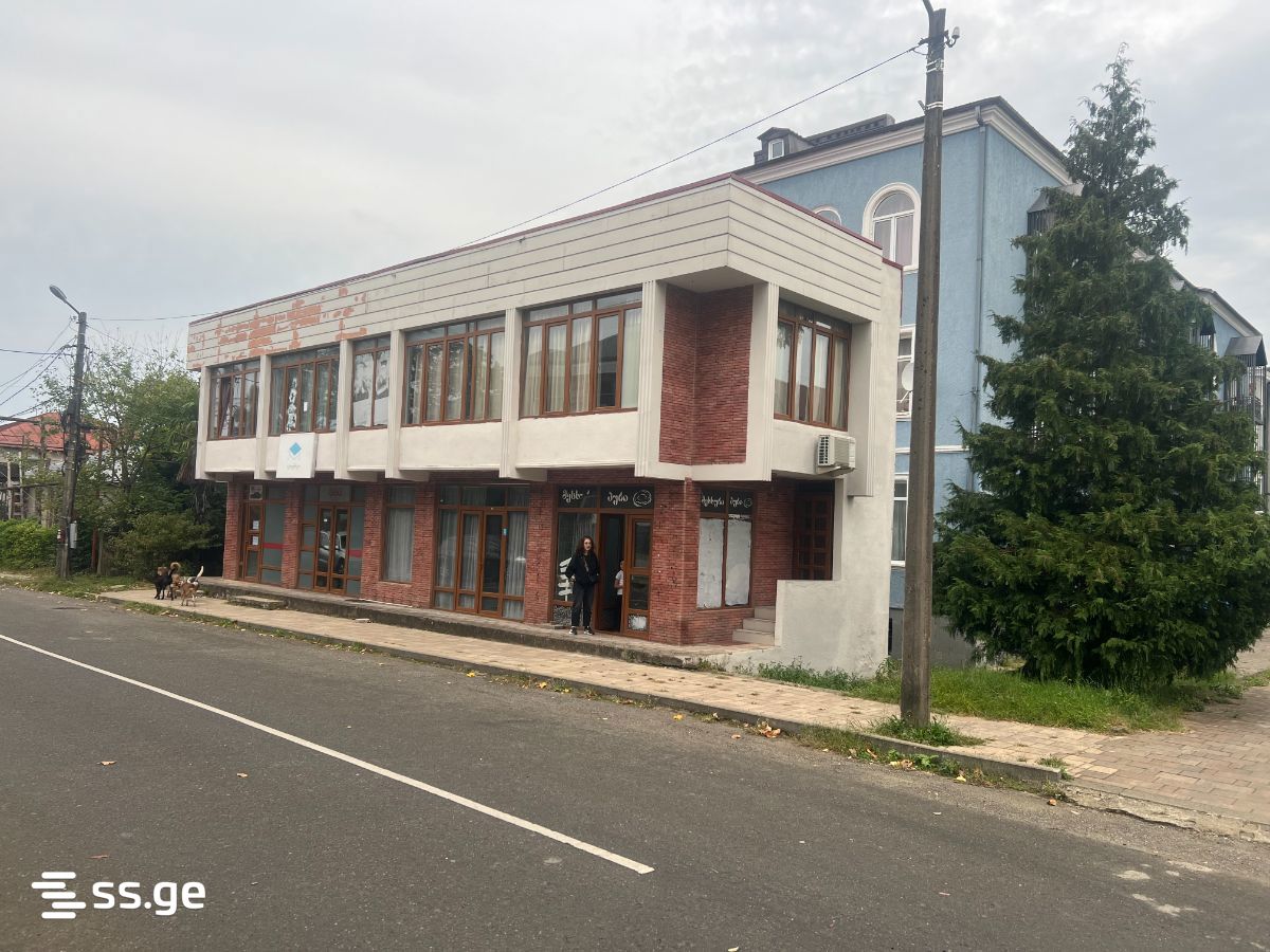 Commercial Space For Rent. Ozurgeti view 1