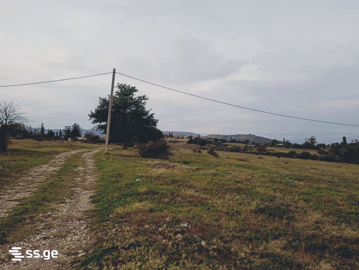 Land For Sale. Nasaguri view 2