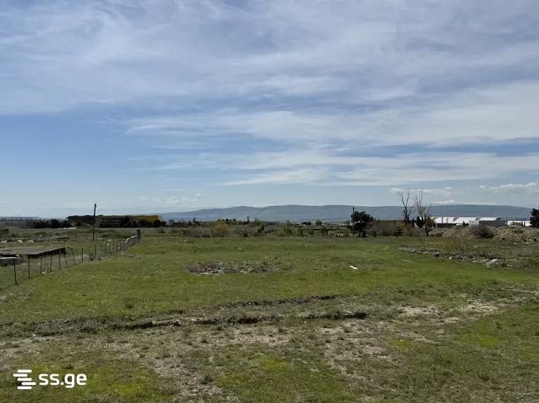 Land For Sale. Didi Lilo view 4