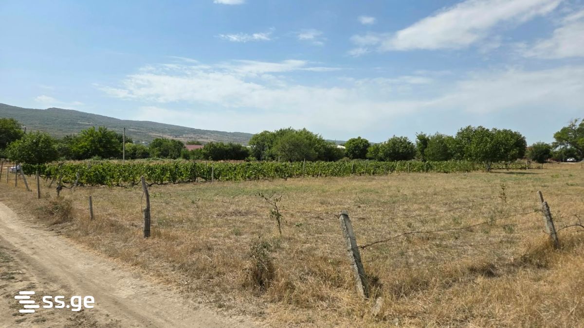 Land For Sale. Tserovani view 4