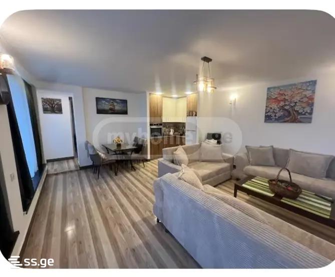 2 Room Private House For Rent. Natakhtari view 4