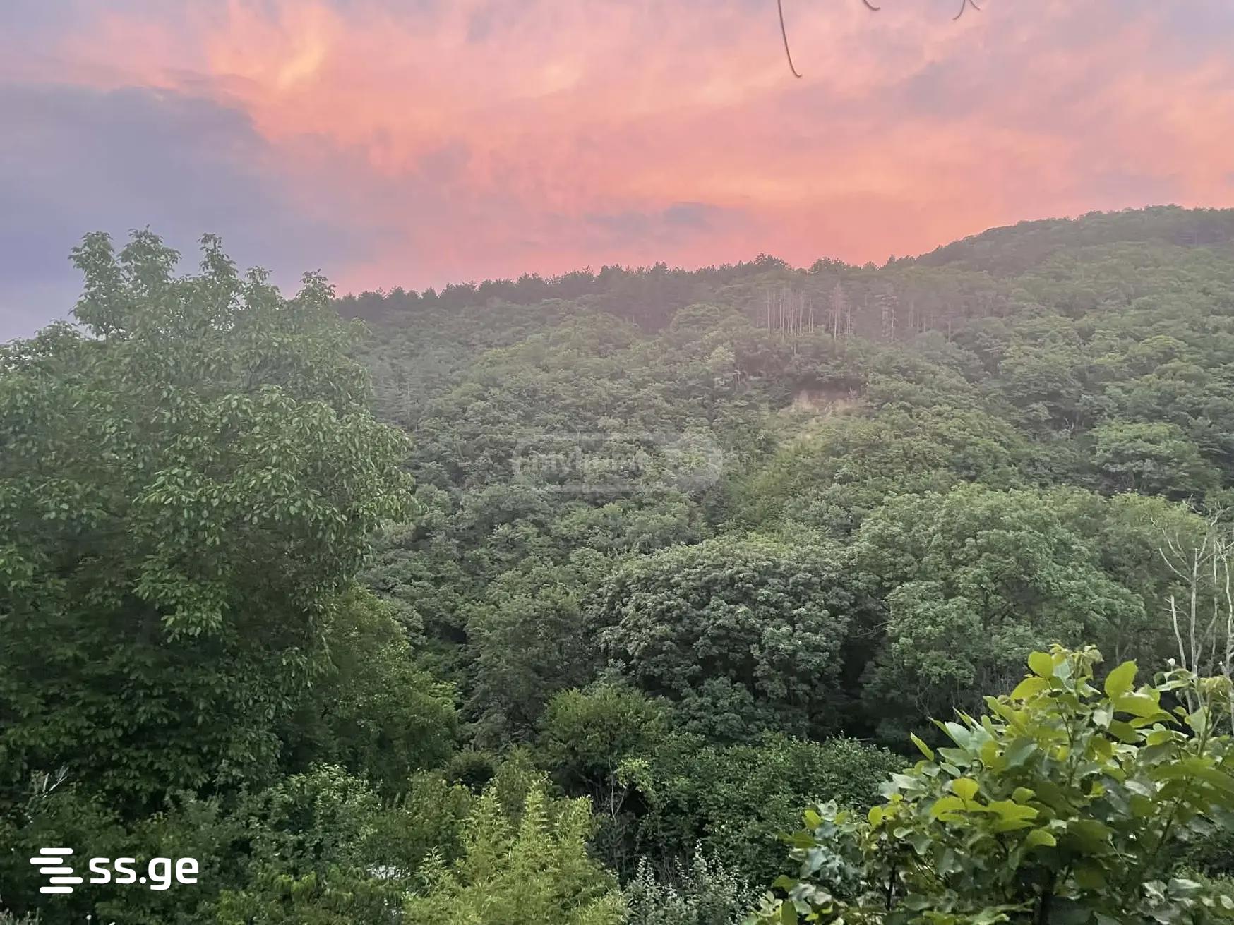 12 Room Summer Cottage For Sale view 1