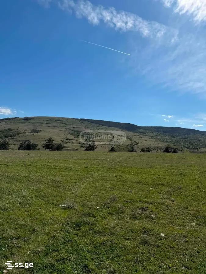 Land For Sale. Norio view 1