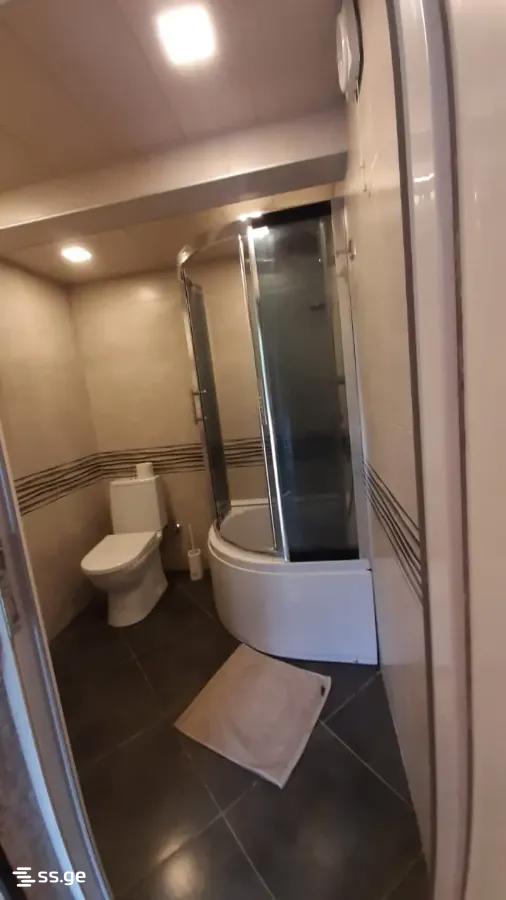 2 Room Flat For Rent. Krtsanisi view 4