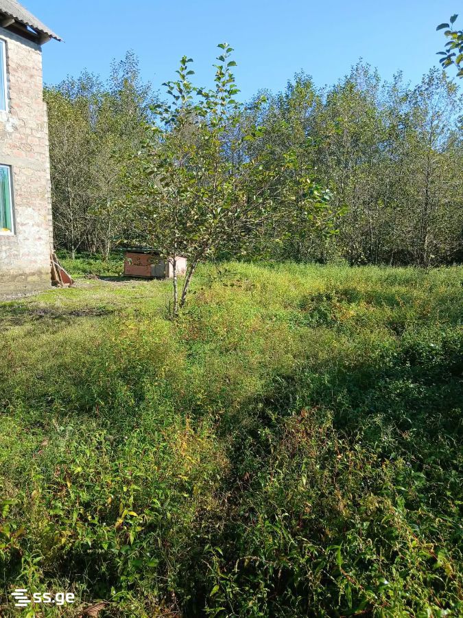 Land For Sale. Ureki view 2