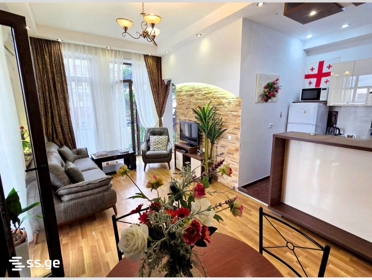 2 Room Flat Daily Rent. Mtatsminda view 3