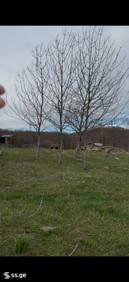 Land For Sale. Kiketi view 1