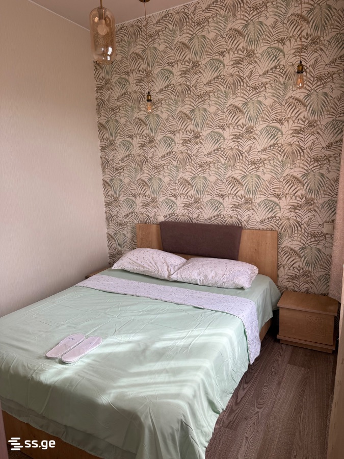 2 Room Flat For Rent. Poti view 3