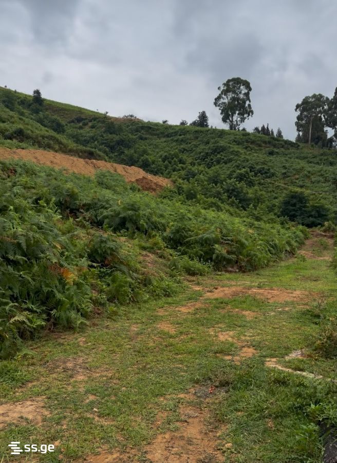 Land For Sale. Khelvachauri view 2