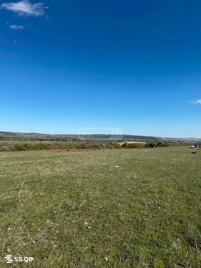 Land For Sale. Norio view 2