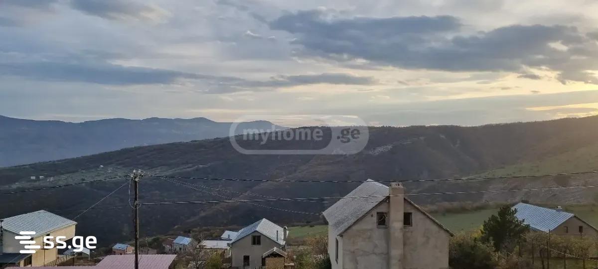 იყიდება მიწა ნაპეტვრებიში view 1