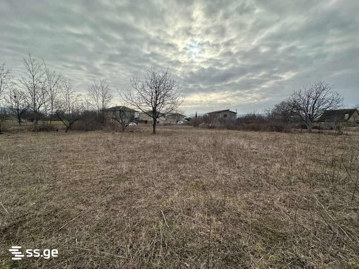Land For Sale. Mukhrani view 3