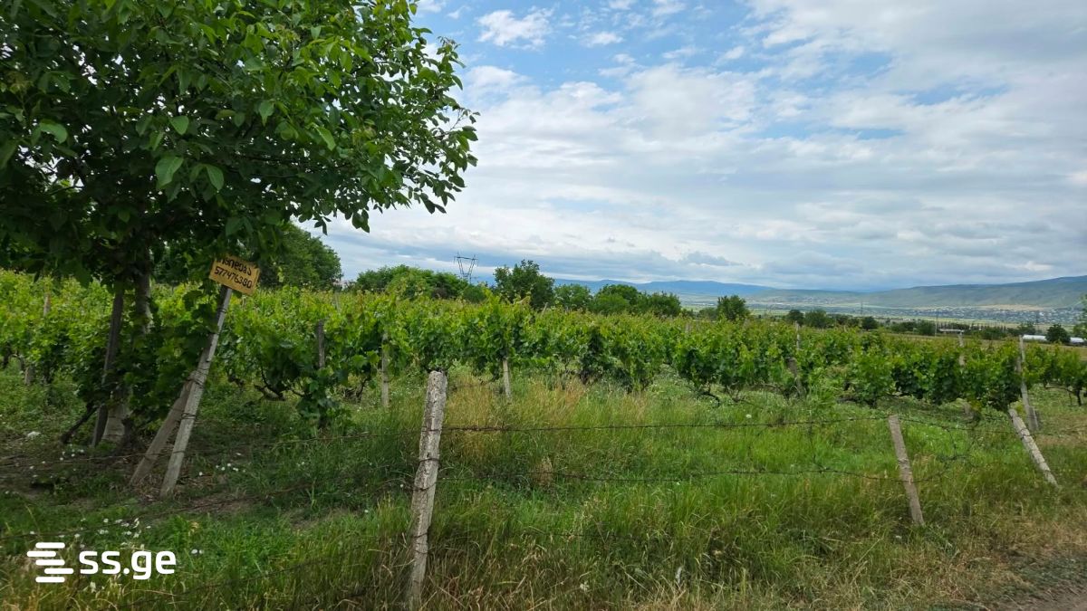 Land For Sale. Tserovani view 1