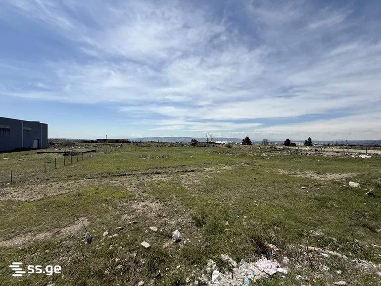 Land For Sale. Didi Lilo view 1