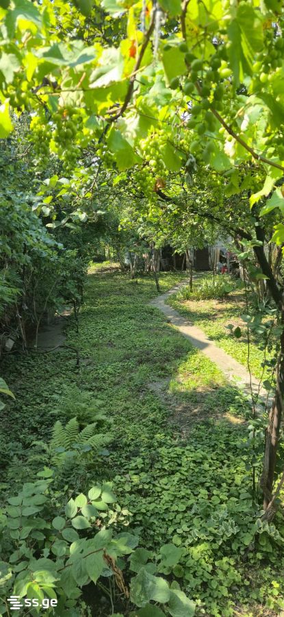 4 Room Summer Cottage For Sale view 2