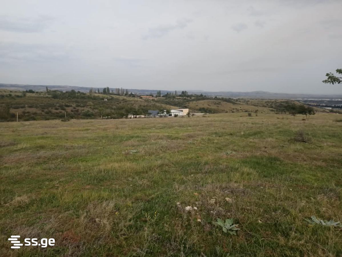 Land For Sale. Nasaguri view 1