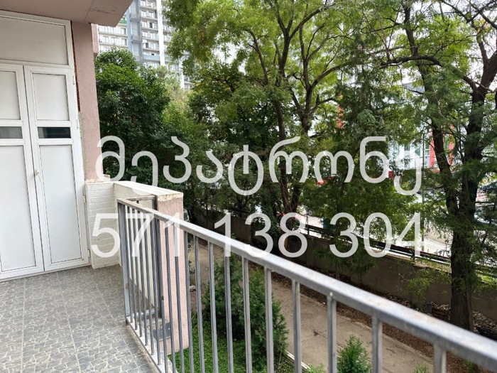 https://static.ss.ge/20261015/3_2b6cb6ab-bf92-4a84-bb92-ef443466ded6_Thumb.jpg