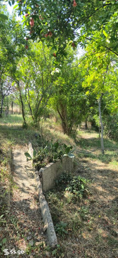 4 Room Summer Cottage For Sale view 4