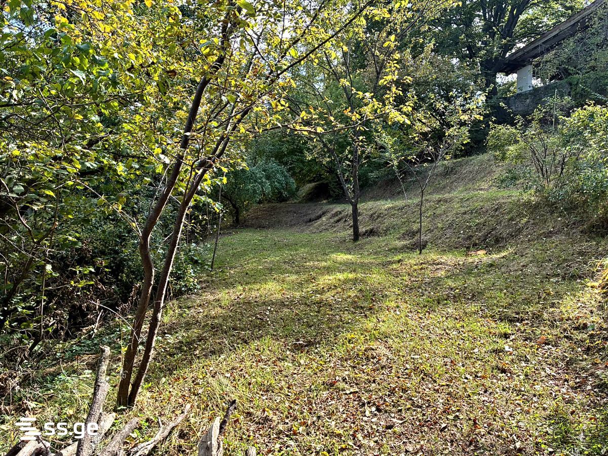 Land For Sale. Tskneti view 3