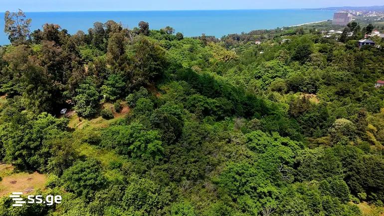 Land For Sale. Kobuleti view 3