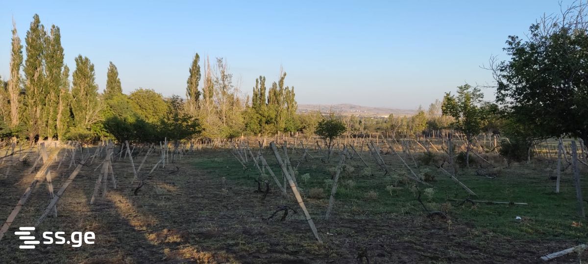იყიდება მიწა ნასაგურიში view 2