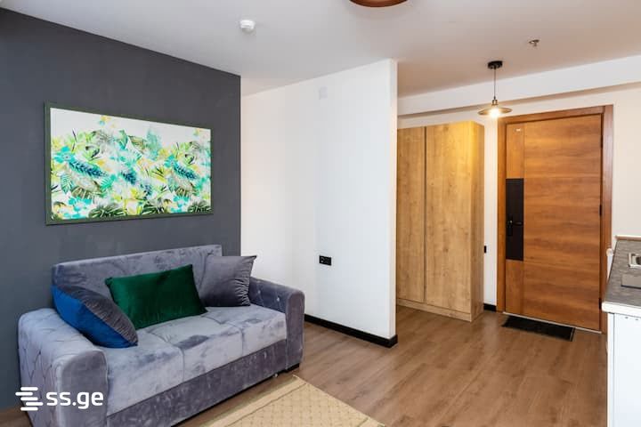 1 Room Flat For Sale view 4
