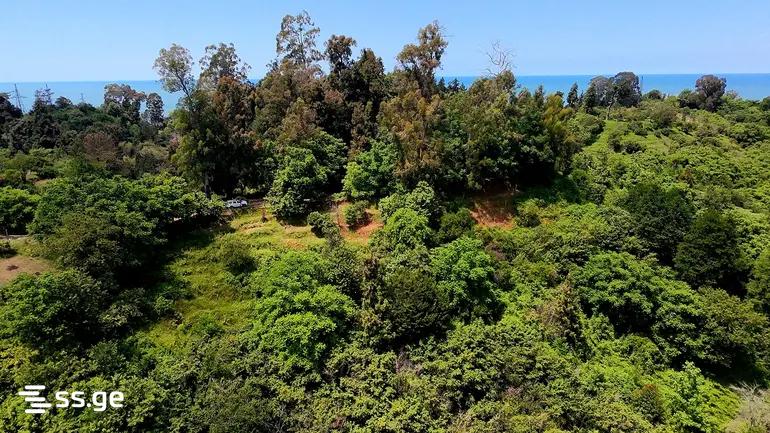Land For Sale. Kobuleti view 2