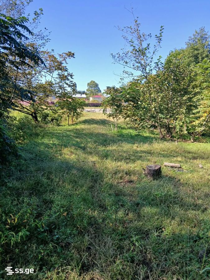 Land For Sale. Ureki view 4
