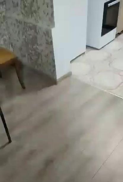https://static.ss.ge/20261015/7_3eb79714-8e46-471c-a999-c68ee142432c_Thumb.jpg