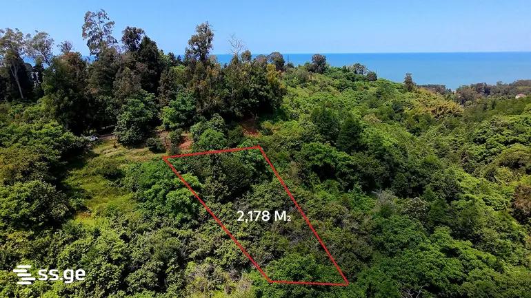 Land For Sale. Kobuleti view 1