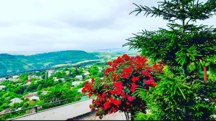 https://static.ss.ge/20261016/0_0f50440d-9060-46f2-903d-ba416ef63ecc_Thumb.jpg