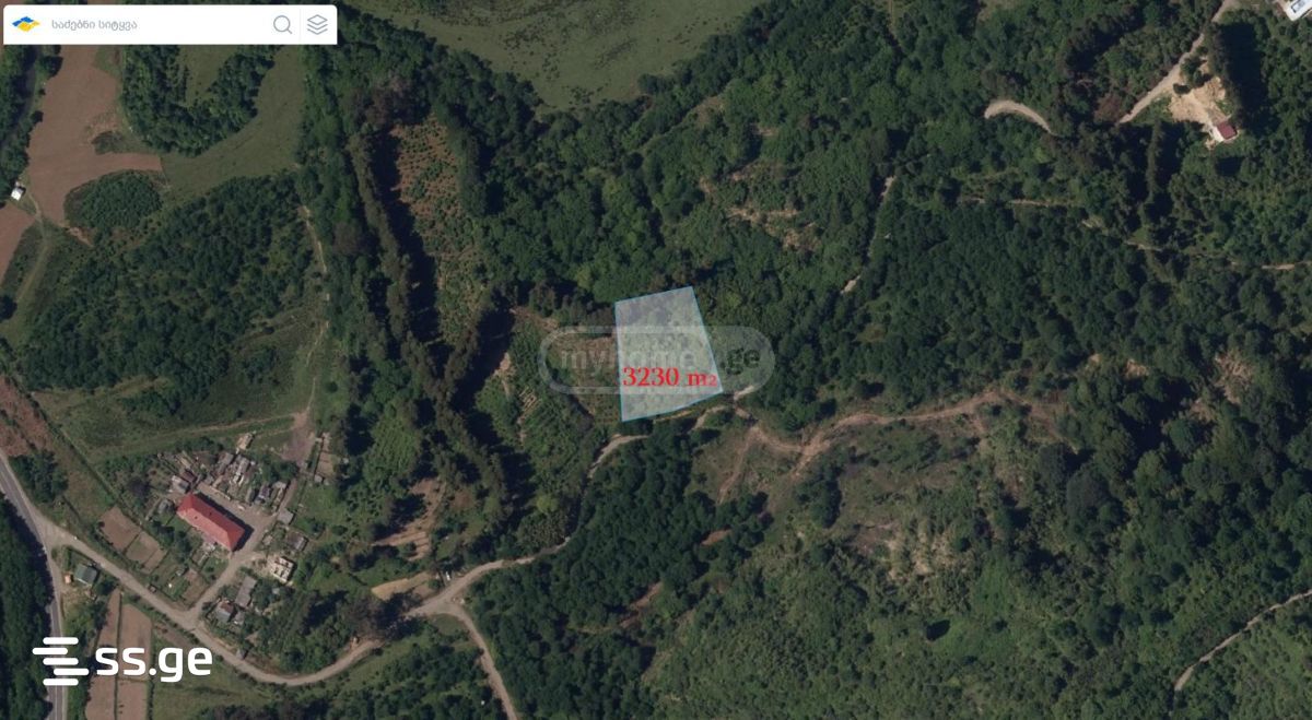 Land For Sale. Ozurgeti view 3