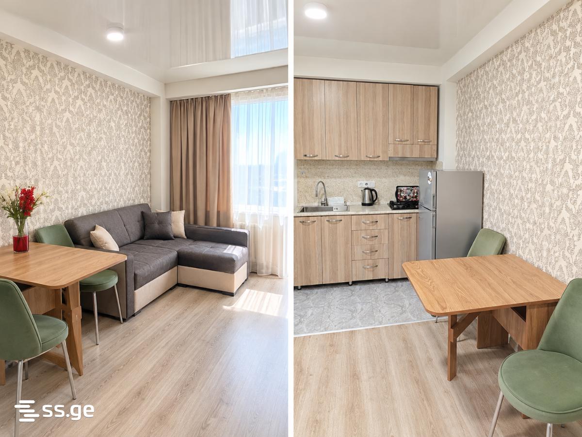 1 Room Flat Daily Rent. Samgori view 3
