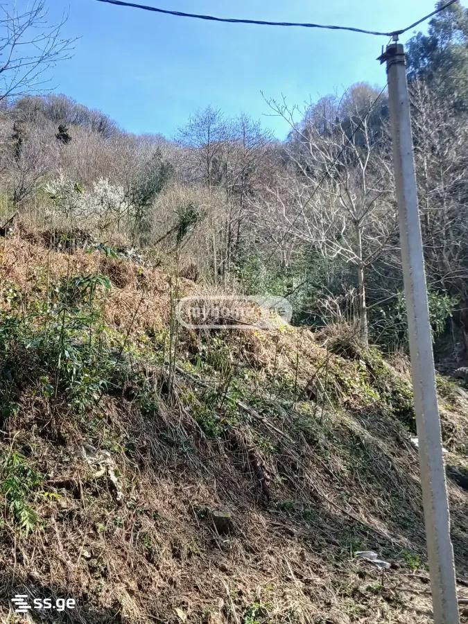 Land For Sale. Gonio view 2