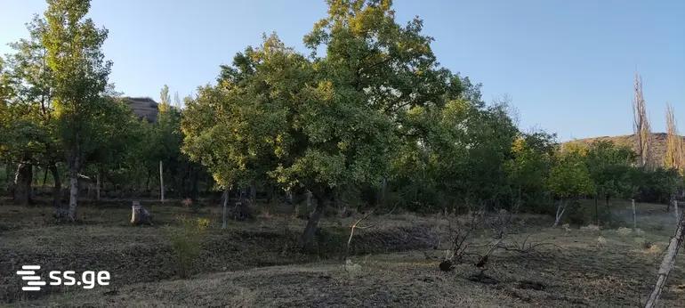 Land For Sale. Nasaguri view 4