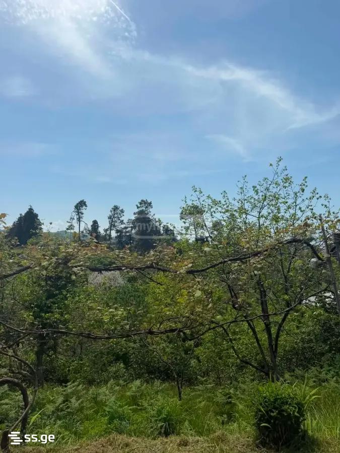 5 Room Private House For Sale view 3